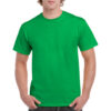 Зелений irish green