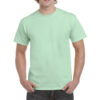 Зелений mint green